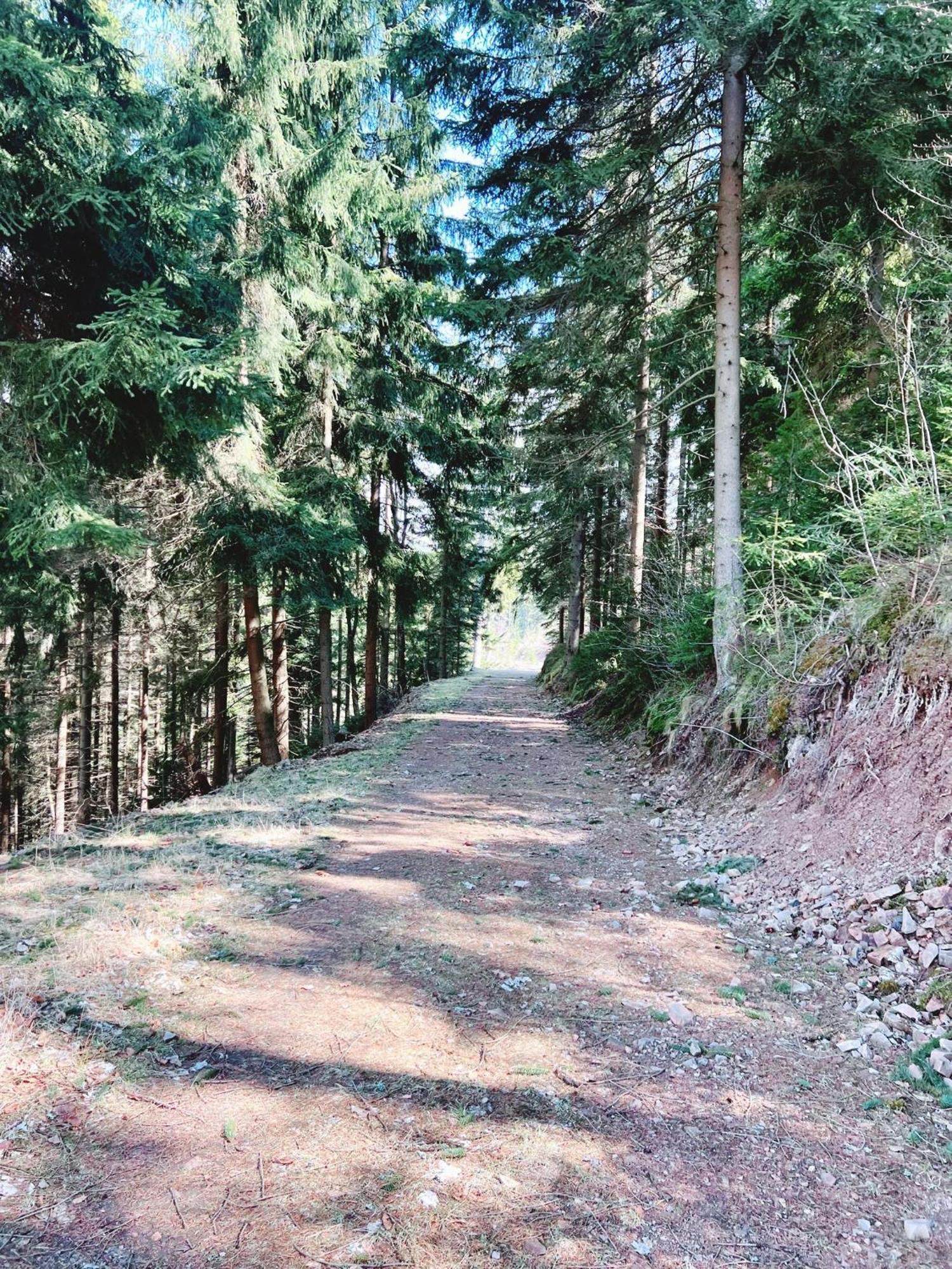 Willa Widokowka Lubawka Buitenkant foto